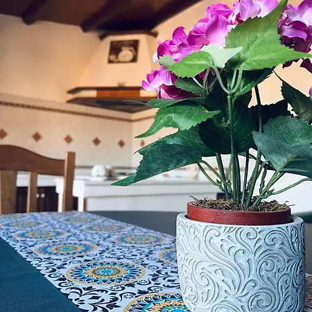 Apartament Sun House *